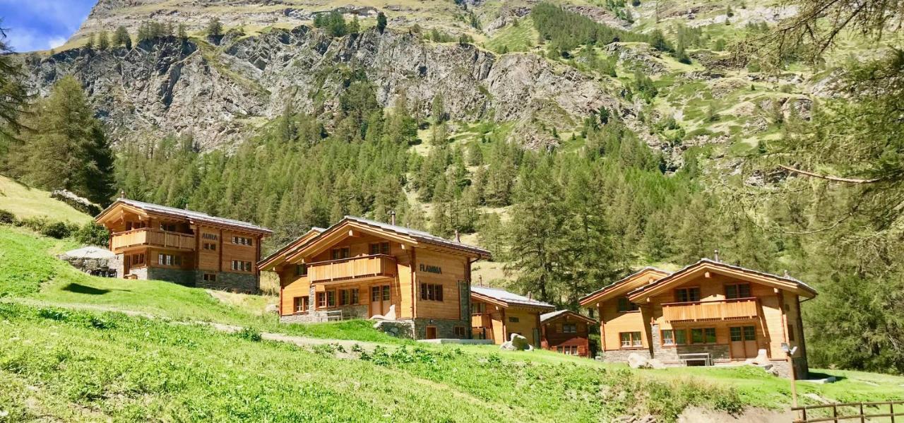 Element Chalets Zermatt Exterior foto